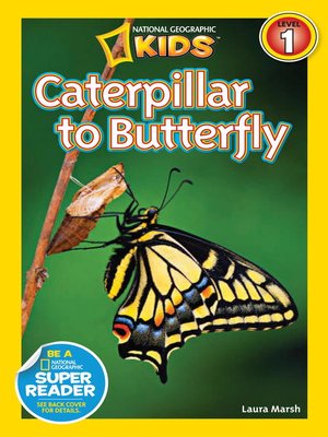 cover image of Caterpillar to Butterfly